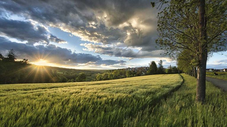 সূর্য থেকে আলো সংগ্রহে নাটকীয় পরিবর্তন আনবে নতুন সৌর প্রযুক্তি